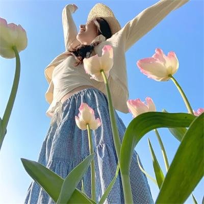 泰山传奇:森林争霸